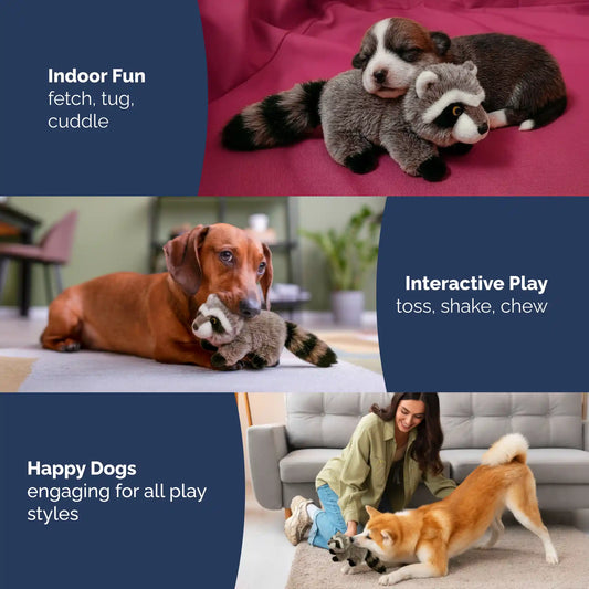 Raccoon plush dog toy