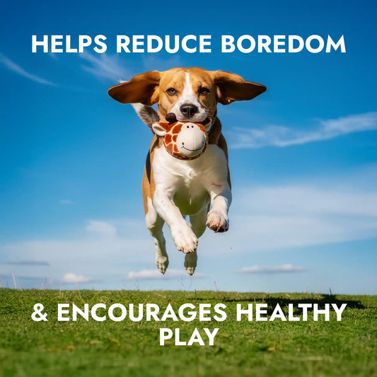 Giraffe squeaky dog ball