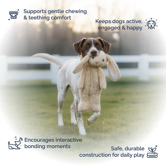 Stuffingless rabbit dog toy