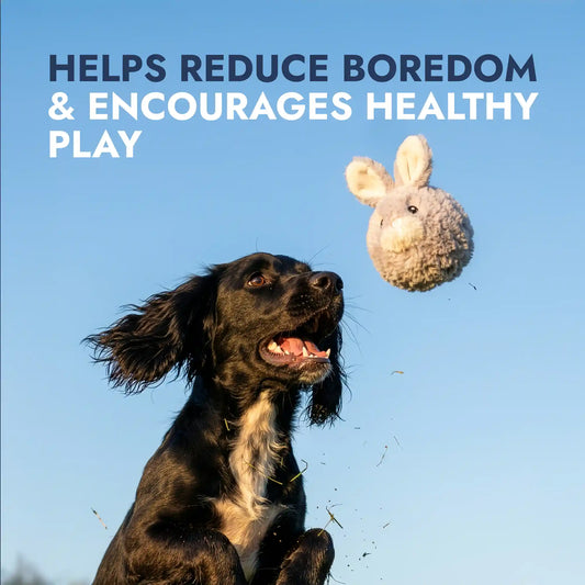 Rabbit squeaky dog ball