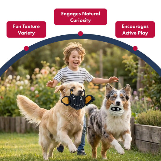 PetLou Batmmy EZ squeaky ball dog toy 4 inch twin pack