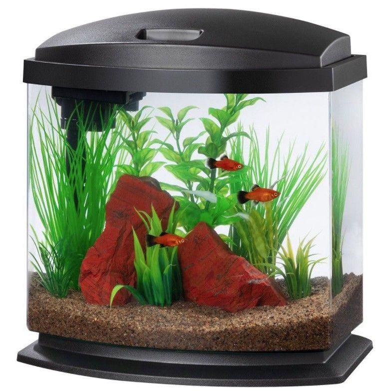 Aqueon LED MiniBow 2.5 SmartClean Aquarium Kit Black-Fish-Aqueon-2.5 gallon-