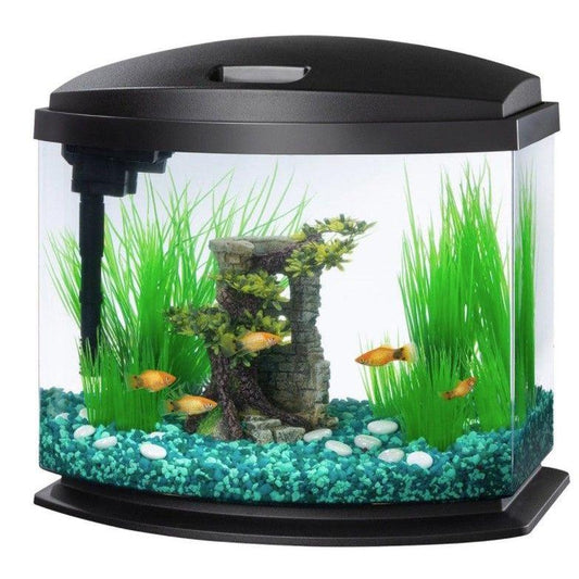 Aqueon LED MiniBow 5 SmartClean Aquarium Kit Black-Animals & Pet Supplies-BimBimPet-