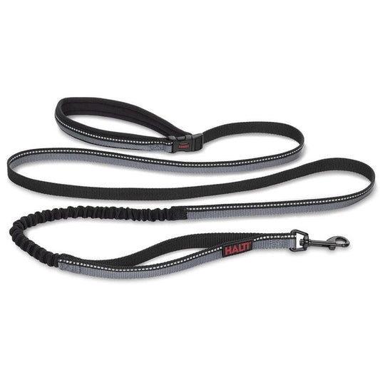 Company of Animals Halti All In One Lead for Dogs Black-Dog-Company of Animals-Large-