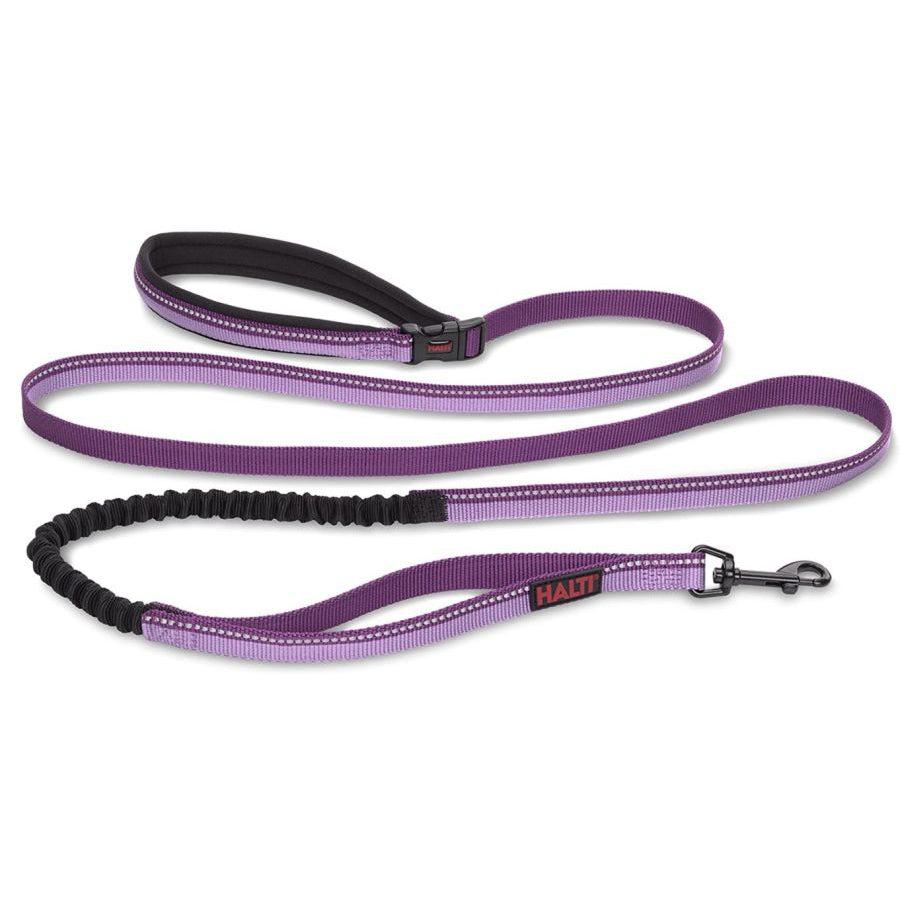 Company of Animals Halti All In One Lead for Dogs Purple-Dog-Company of Animals-Small-