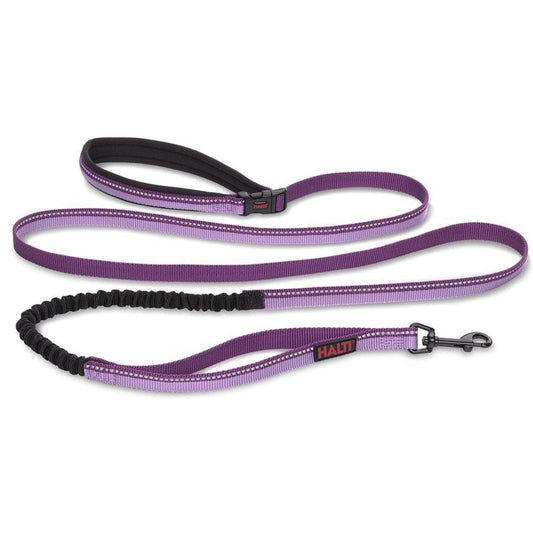 Company of Animals Halti All In One Lead for Dogs Purple-Dog-Company of Animals-Small-