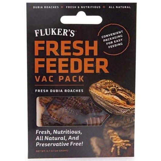Flukers Dubia Roach Fresh Feeder Vac Pack-Reptile-Flukers-0.7 oz-