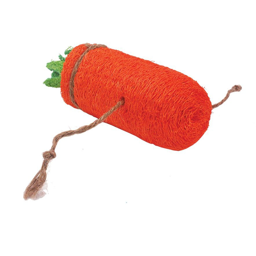 AE Cage Company Nibbles Carrot Loofah Chew Toy Large-Small Pet-AE Cage Company-1 count-