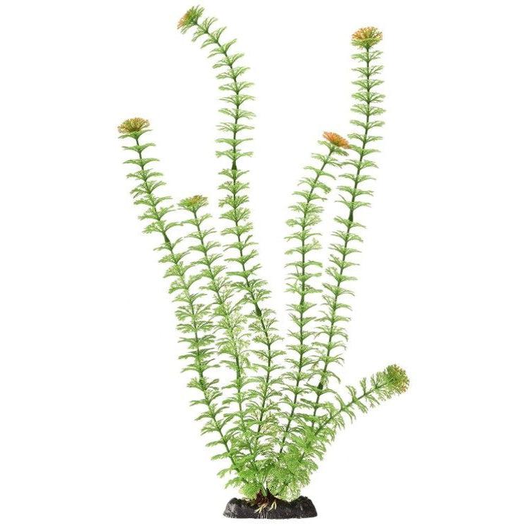 Penn Plax Sinkers Ambulia Aquarium Plant Green-Fish-Penn Plax-18" tall-