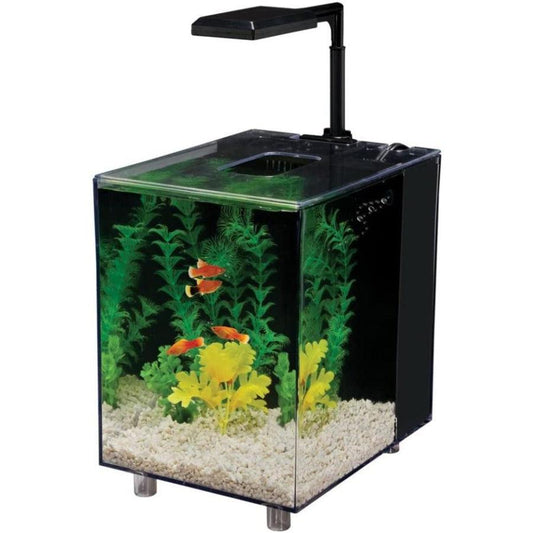 Penn Plax Prism Nano Desktop Aquarium Kit Black-Fish-Penn Plax-1 count-