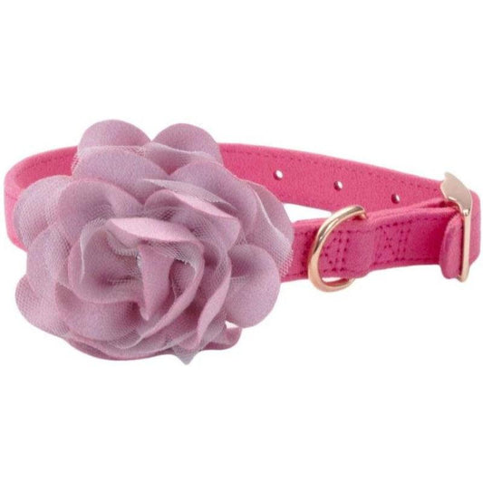 Coastal Pet Microfiber Dog Collar with Pink Accent Flower-Animals & Pet Supplies-BimBimPet-