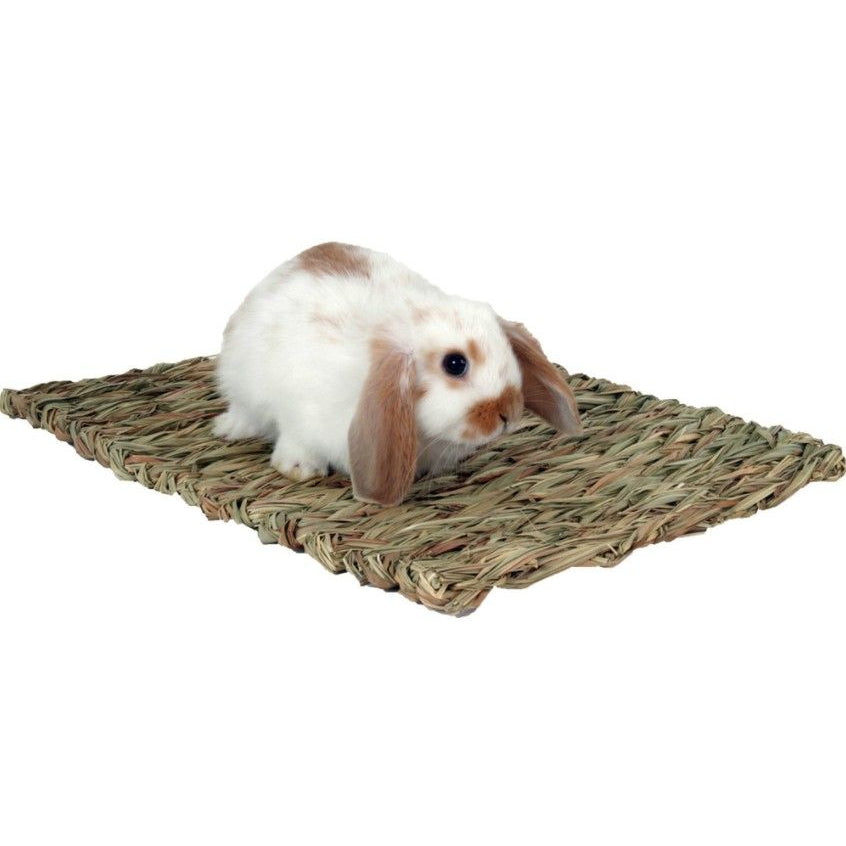 Marshall Peters Woven Grass Mat for Small Animals-Small Pet-Marshall-1 count-