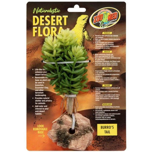 Zoo Med Burros Tail Desert Flora Terrarium Plant-Reptile-Zoo Med-1 count-