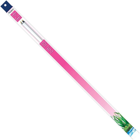 Aqueon T8 Colormax Fluorescent Lamp-Fish-Aqueon-24" - 17 watt-