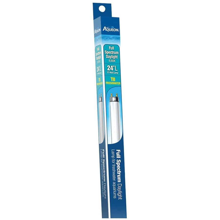 Aqueon T8 Daylight Fluorescent Lamp-Fish-Aqueon-24" - 17 watt-