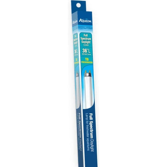 Aqueon T8 Daylight Fluorescent Lamp-Fish-Aqueon-36" - 25 watt-
