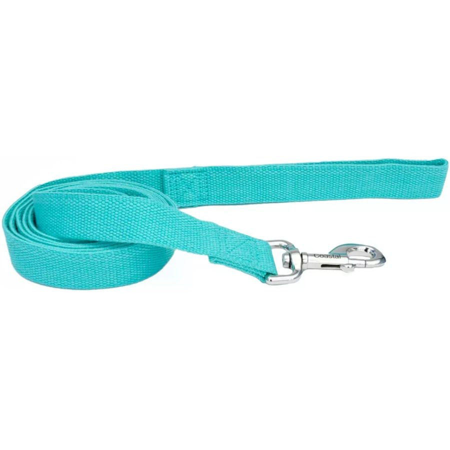 Coastal Pet New Earth Soy Dog Lead Mint Green-Dog-Coastal Pet-6 feet x 1"W-