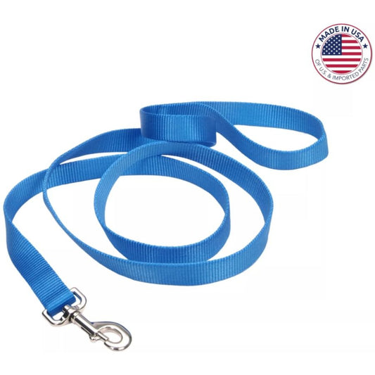 Coastal Pet Single-Ply Nylon Dog Leash Blue Lagoon-Dog-Coastal Pet-4 feet x 5/8"W-