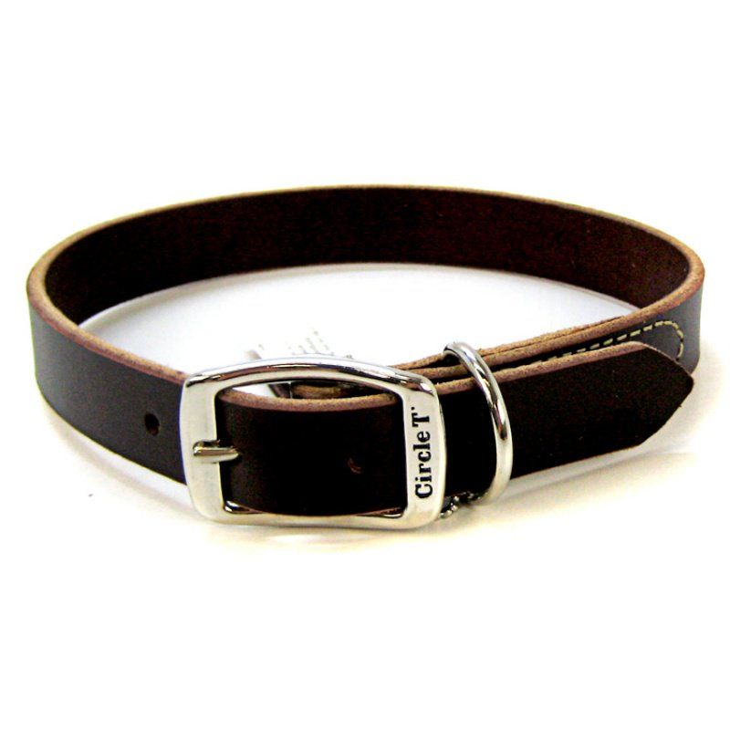 Circle T Latigo Leather Town Collar-Dog-Circle T Leather-22" Long x 1" Wide-