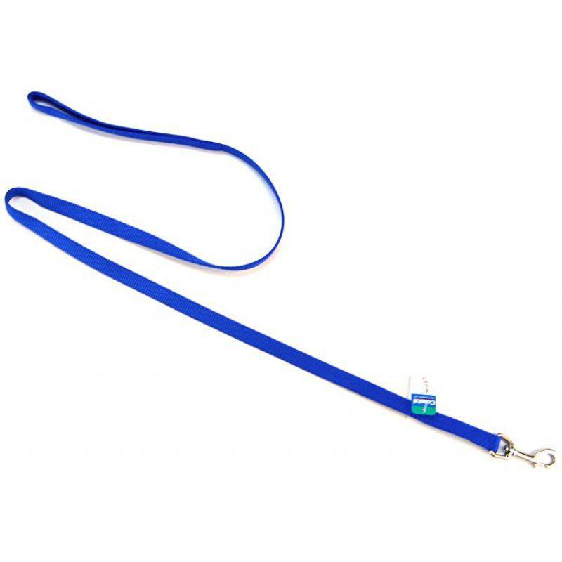 Coastal Pet Nylon Lead - Blue-Dog-Coastal Pet-4' Long x 5/8" Wide-