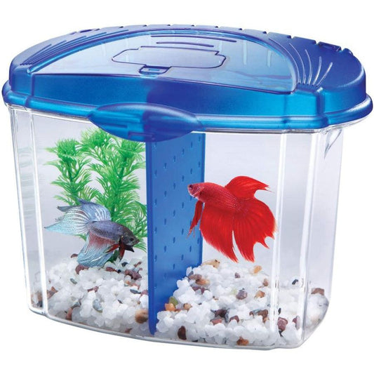 Aqueon Betta Bowl Starter Kit - Blue-Fish-Aqueon-.5 Gallon-