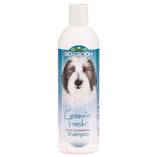 Bio Groom Groom N Fresh Shampoo-Dog-Bio-Groom-12 oz-