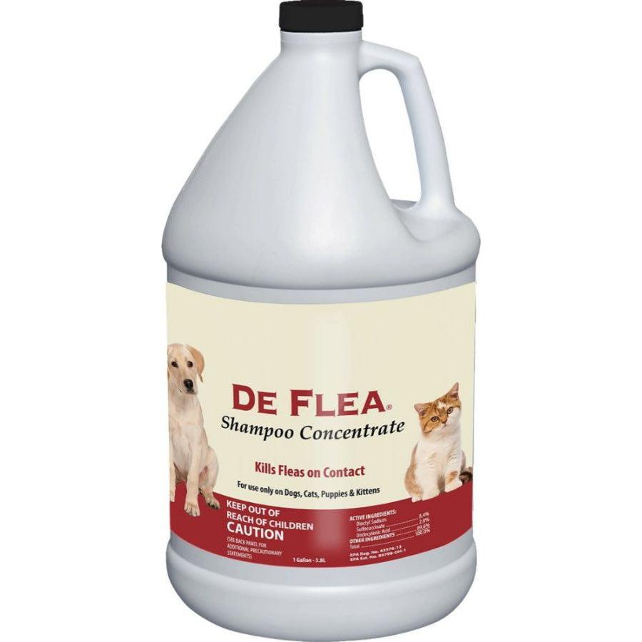 Miracle Care De Flea Shampoo Concentrate-Dog-Miracle Care-1 Gallon-