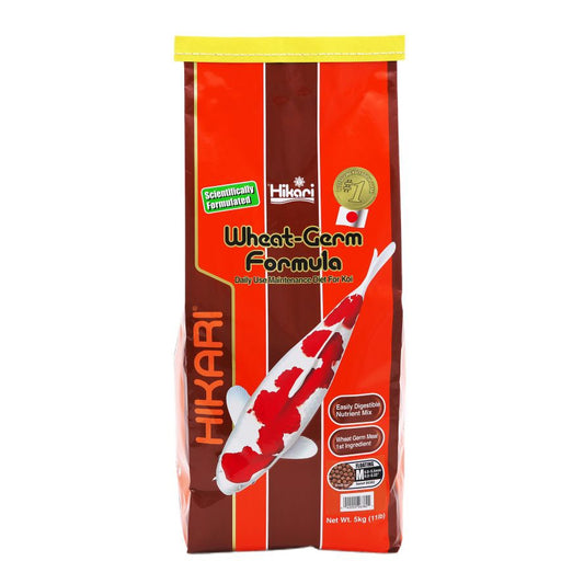 Hikari Wheat Germ - Medium Pellet-Fish-Hikari-11 lbs-
