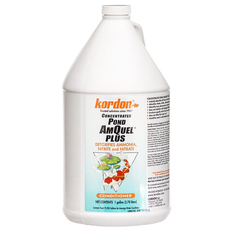 Kordon Concentrated Pond AmQuel +-Fish-Kordon-1 Gallon-