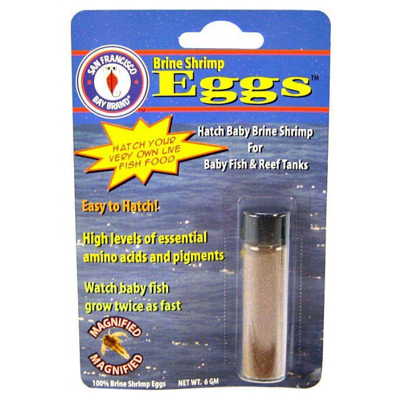 SF Bay Brands Brine Shrimp Eggs-Fish-San Francisco Bay Brands-6 Grams-