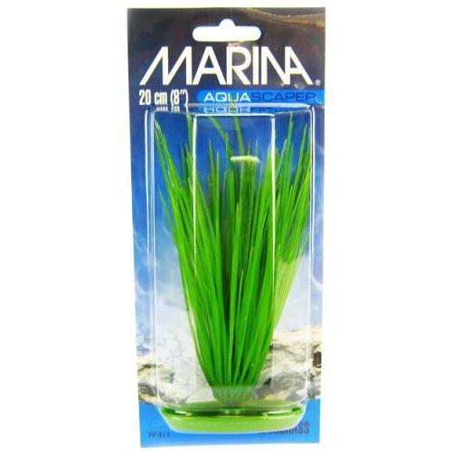 Marina Hairgrass Plant-Fish-Marina-8" Tall-