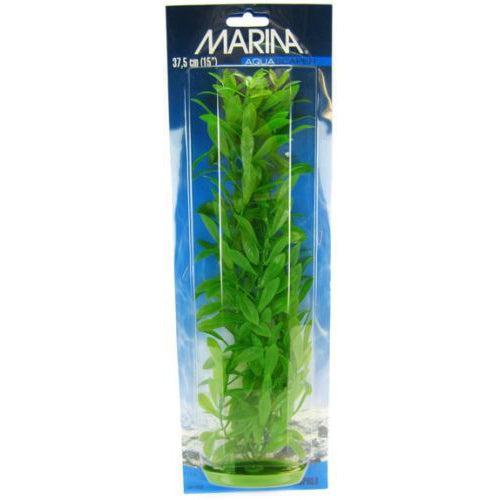 Marina Hygrophila Plant-Fish-Marina-15" Tall-