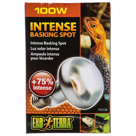 Exo-Terra Sun Glo Tight Beam Basking Spot Lamps-Reptile-Exo-Terra-100 Watts-