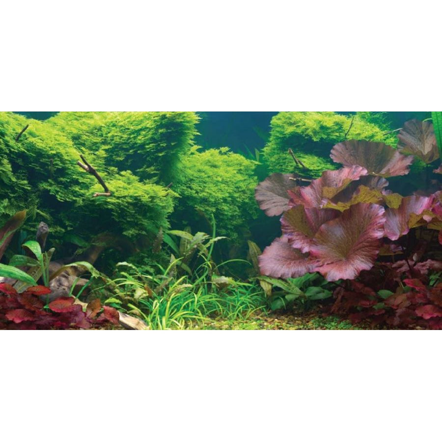Aquatic Creations Tropical Cling Aquarium Background-Fish-Aquatic Creations-36" Long x 18" Wide-