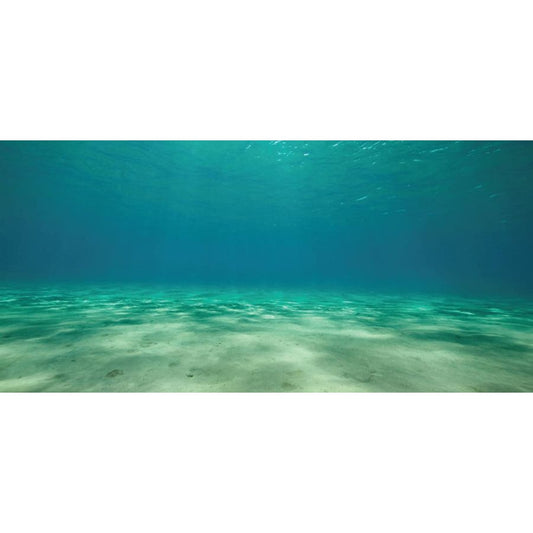 Aquatic Creations Ocean Floor Cling Aquarium Background-Fish-Aquatic Creations-36" Long x 18" Wide-