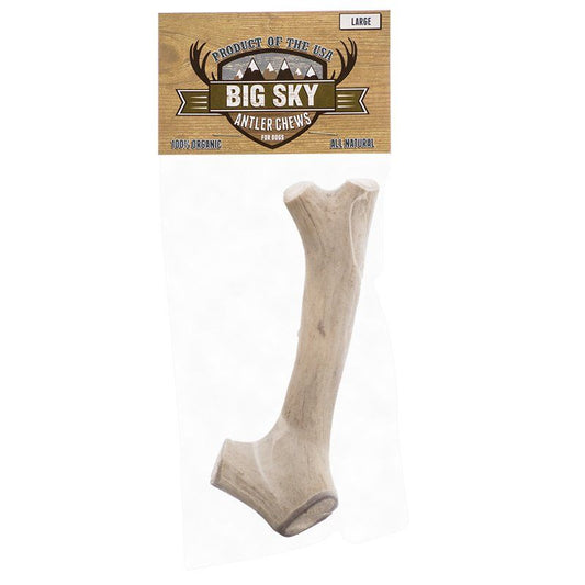 Big Sky Antler Chew for Dogs-Dog-Scott Pet-Large - 1 Antler - Dogs Over 110 lbs - (7"-8" Chew)-