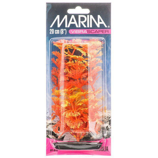 Marina Vibrascraper Ambulia Plant - Orange & Yellow-Fish-Marina-8" Tall-