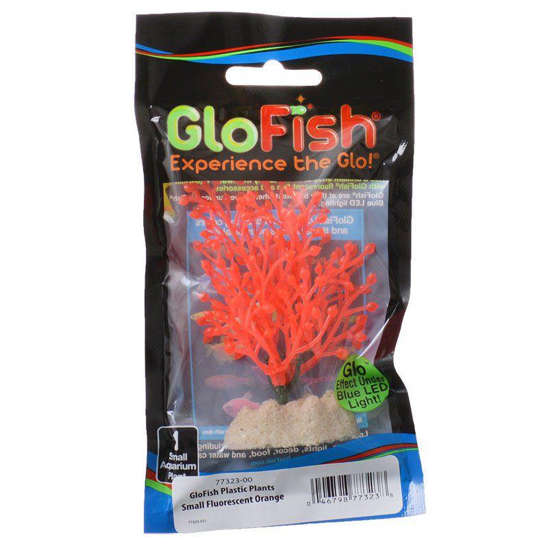 GloFish Orange Aquarium Plant-Fish-GloFish-Small - (4"-5.5" High)-