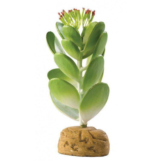 Exo-Terra Desert Jade Cactus Terrarium Plant-Reptile-Exo-Terra-1 Pack-