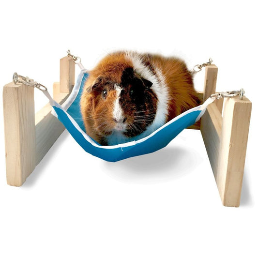 Kaytee Hammock with Stand-Small Pet-Kaytee-1 Pack - 11"L x 12.5"W x 5.25"H - (Assorted Colors)-
