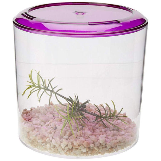 Lee's Betta Keeper Round Aquarium Kit-Fish-Lee's-1 Count-