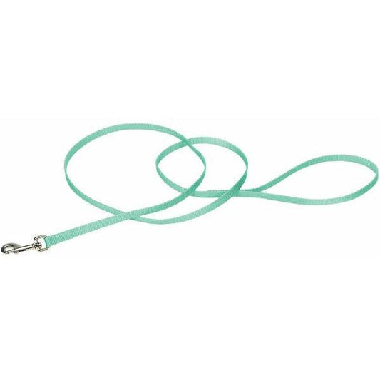 Coastal Pet Single-ply Nylon Dog Leash Teal-Dog-Coastal Pet-4'L x 3/8"W-