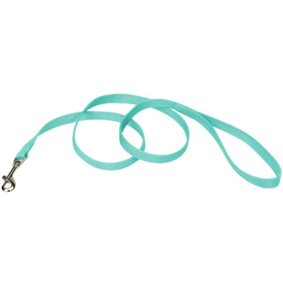 Coastal Pet Single-ply Teal Nylon Dog Lead-Dog-Coastal Pet-4'L x 5/8"W-