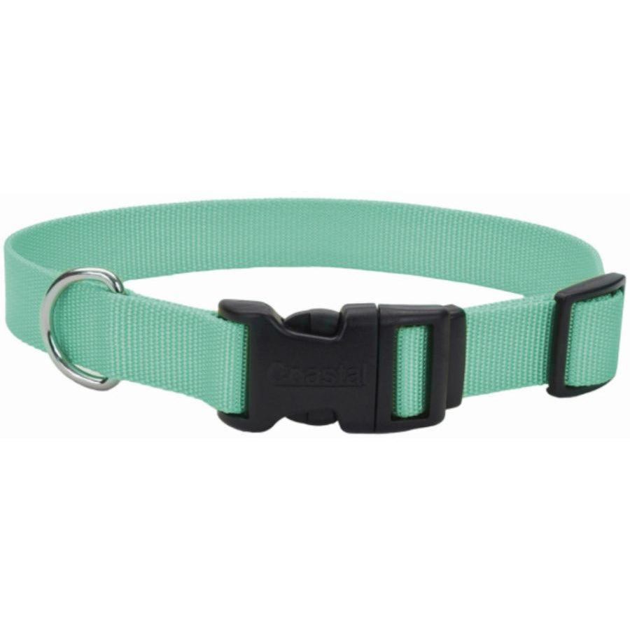 Coastal Pet Teal Nylon Tuff Dog Collar with Plastic Buckle-Dog-Coastal Pet-8-12"L x 3/8"W-