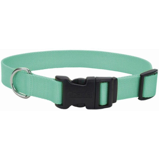 Coastal Pet Teal Nylon Tuff Dog Collar with Plastic Buckle-Dog-Coastal Pet-8-12"L x 3/8"W-