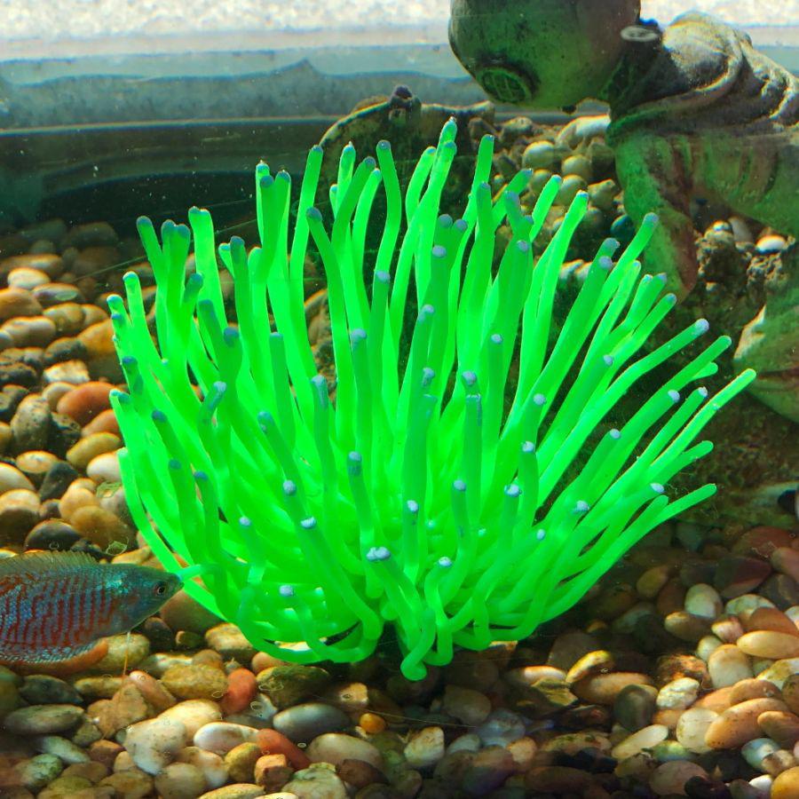 Aquatic Creations Aquarium Decor X-Large Anemone Green-Fish-Aquatic Creations-1 Count-