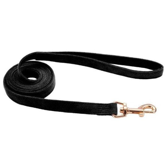 Coastal Pet Accent Microfiber Dog Leash Mod Black 6'L x 5/8"W-Dog-Coastal Pet-1 count-