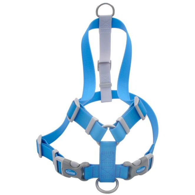 Coastal Pet Pro Waterproof Dog Harness 3/4"- Aqua-Dog-Coastal Pet-Small-