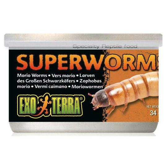 Exo Terra Canned Superworms Specialty Reptile Food-Reptile-Exo-Terra-1.2 oz-