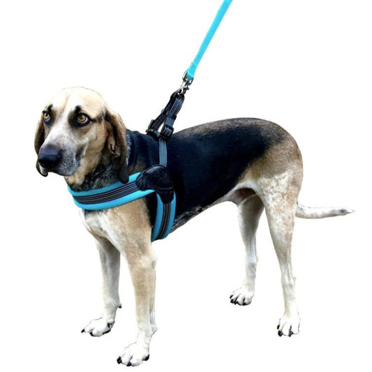 Sporn Easy Fit Dog Harness Blue-Dog-Sporn-Large 1 count-